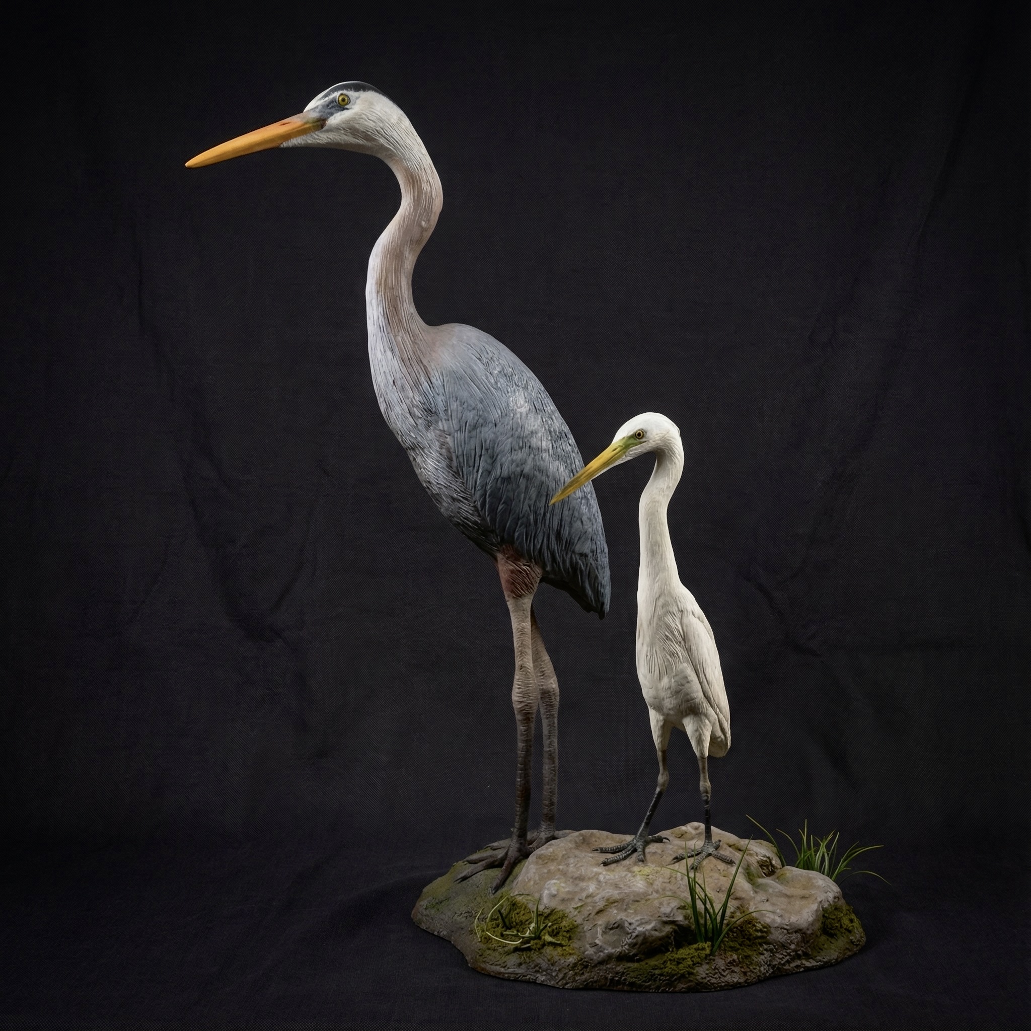 After - professional studio shot